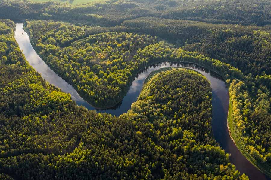 There is no bridge on the Amazon river.