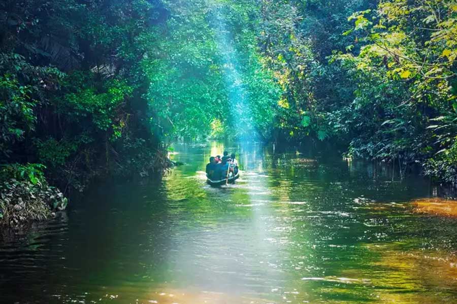 There is no bridge on the Amazon river.