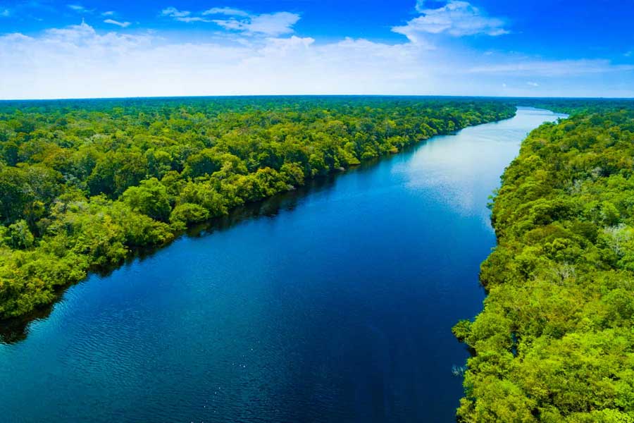 There is no bridge on the Amazon river.