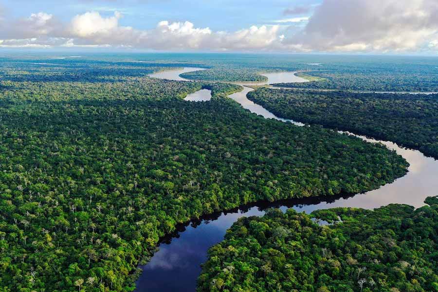 There is no bridge on the Amazon river.