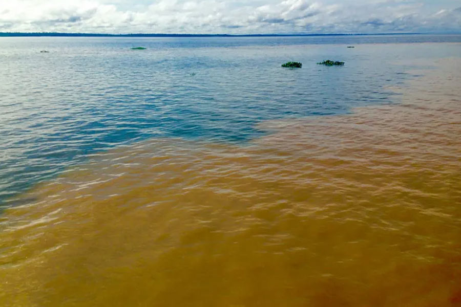 There is no bridge on the Amazon river.