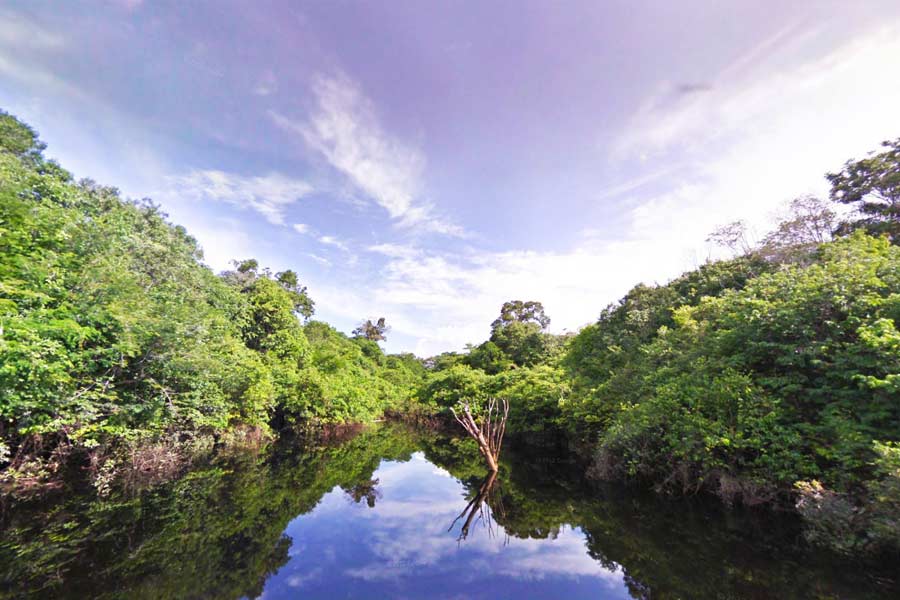 There is no bridge on the Amazon river.