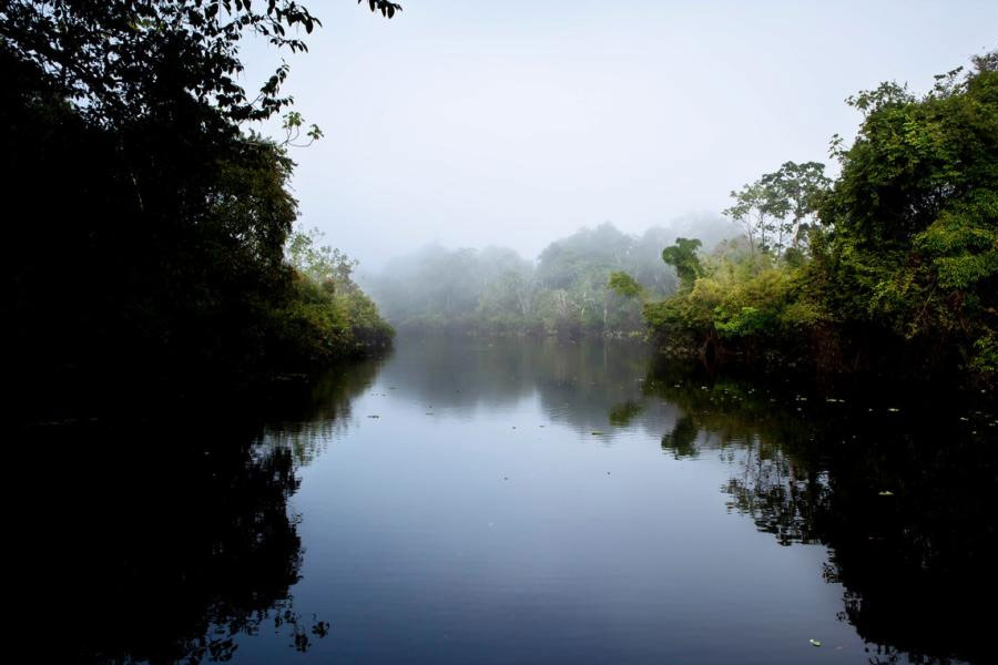 There is no bridge on the Amazon river.