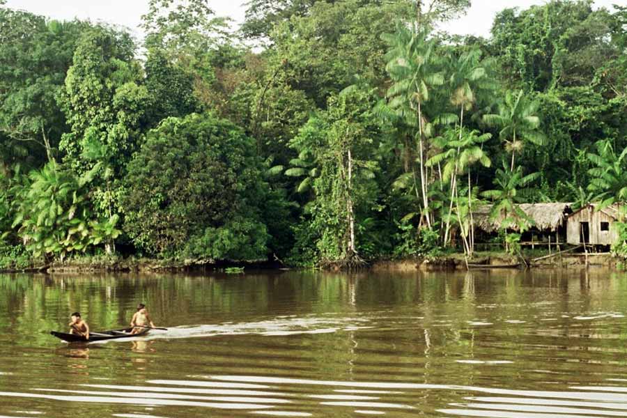 There is no bridge on the Amazon river.
