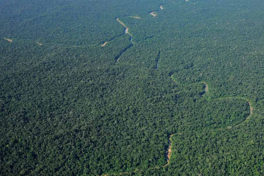 There is no bridge on the Amazon river.