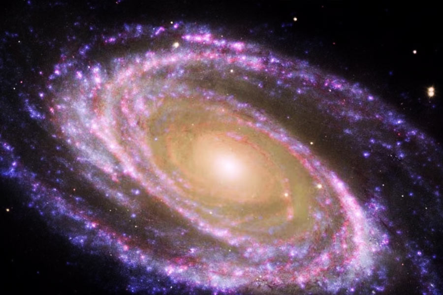 Cosmic alcohol that may taste and smell like Raspberry and Rum