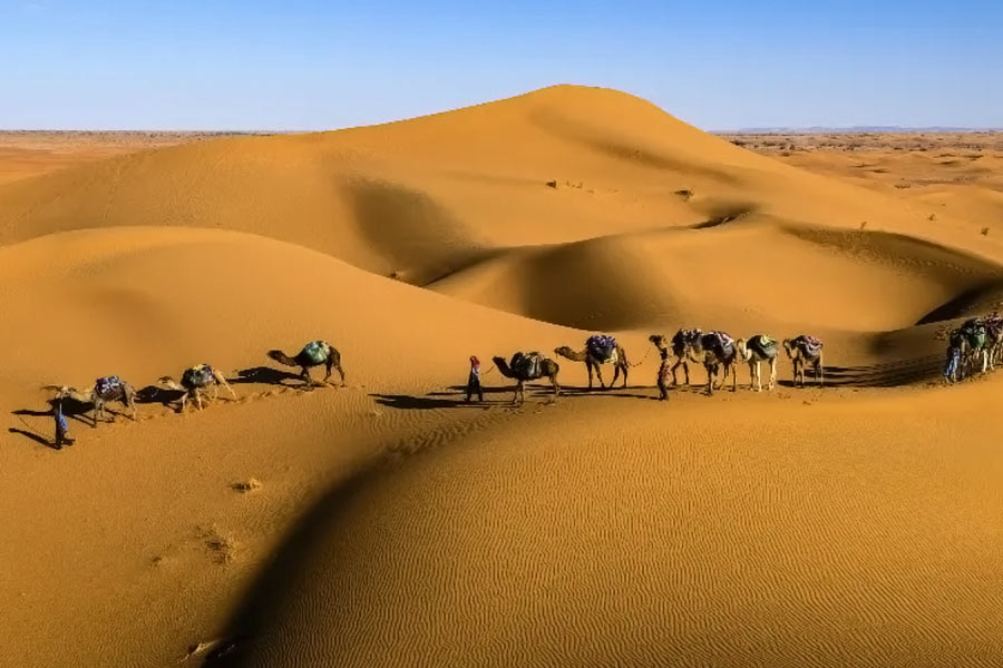 African countries are resisting China on illegal mining