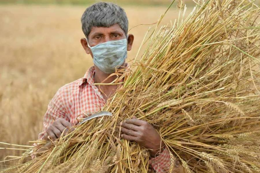 Young Female panchayat heads of India, who are changing the way of Village administration