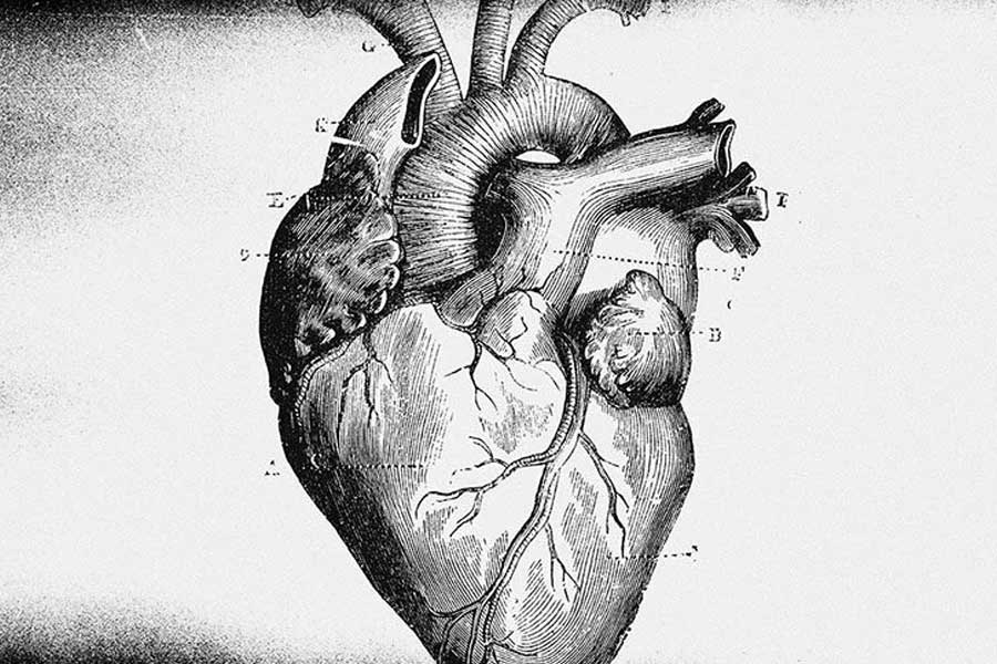 The three number mystery of Scientist Nikola Tesla.