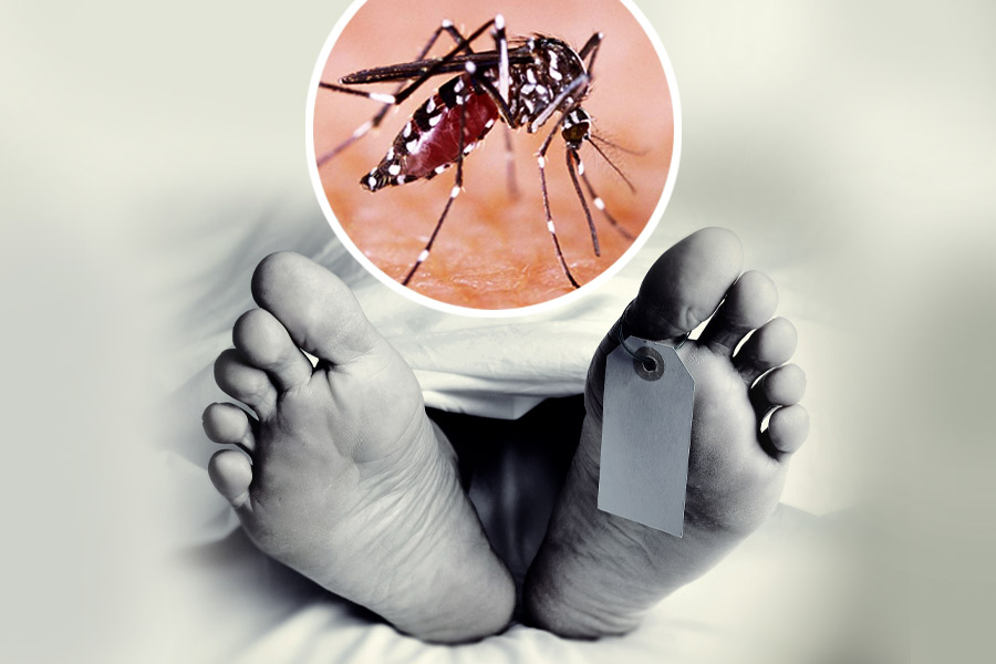 An image of Dengue