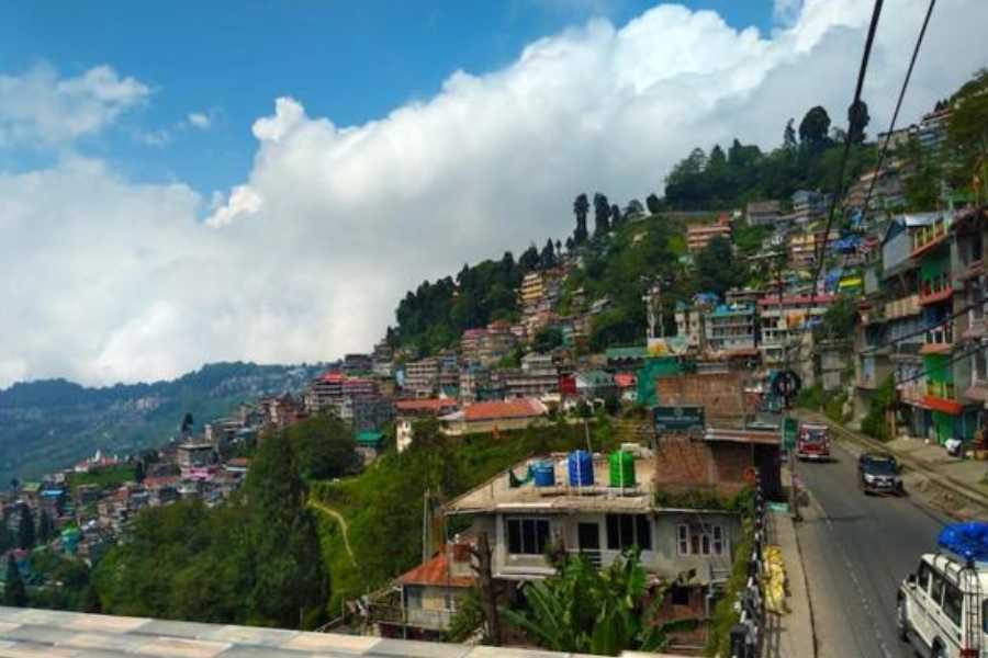  স্প্রিংফিল্ড হোম স্টে: দার্জিলিং রেল স্টেশন থেকে গুনে গুনে ১৭০০ মিটার দূরত্বে এই হোম-স্টে। ইচ্ছে করলে নিজে রান্না করে খেতে পারেন। ফ্রিজ, টিভি, গ্যাস ওভেন, ডাইনিং টেবিল, বাসনপত্র ছাড়াও আছে টিভি। ৪-৫ জনের ছোট দল দিব্যি পিকনিকের করার মেজাজে ২-৩ দিন আনন্দে কাটাতে পারে এখানে।