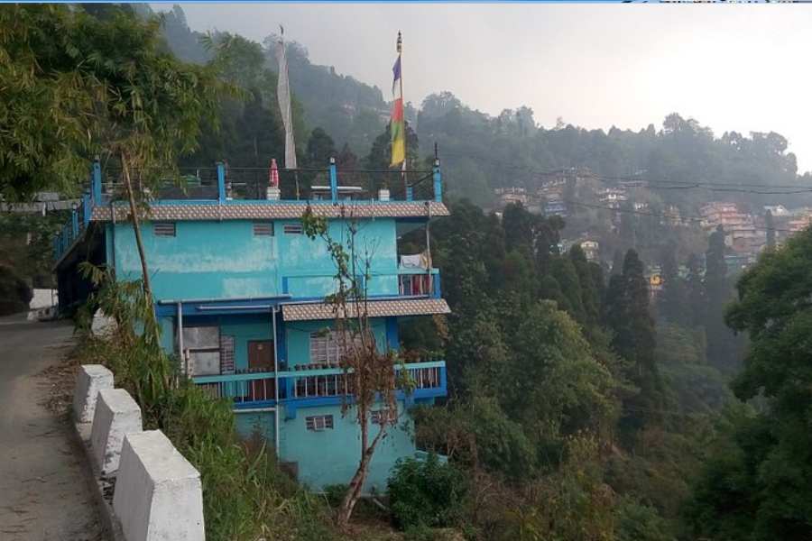 সিঙ্গেল হোম-স্টে: এটা অবশ্য কার্শিয়ংয়ে। দার্জিলিং থেকে ২১ কিলোমিটার। তবে এর চারপাশের চা-বাগানের অপরূপ সৌন্দর্য সবাইকে মুগ্ধ করে দিতে পারে। ছোট্ট এই হোম-স্টে বানিয়েছেন মকাইবাড়ি চা-বাগানের কয়েক জন আবাসিক। নিরিবিলি শান্ত পরিবেশের মধ্যে এই থাকা-খাওয়ার জায়গাটি চালান মকাইবাড়ি চা-বাগানের কর্মীরাই।