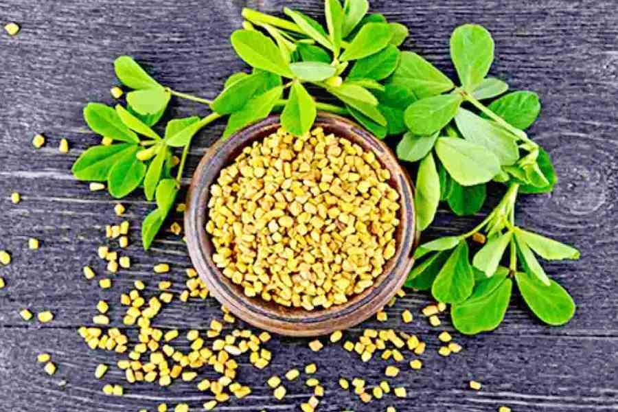 Image of Fenugreek Seeds.