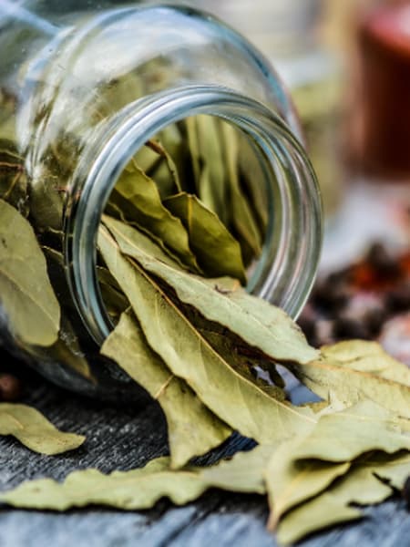 Health benefits of Bay Leaf tea apart from preventing cancer dgtl