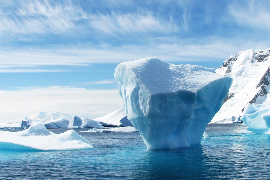 Plants are flowering in Antarctica, a warning sign 