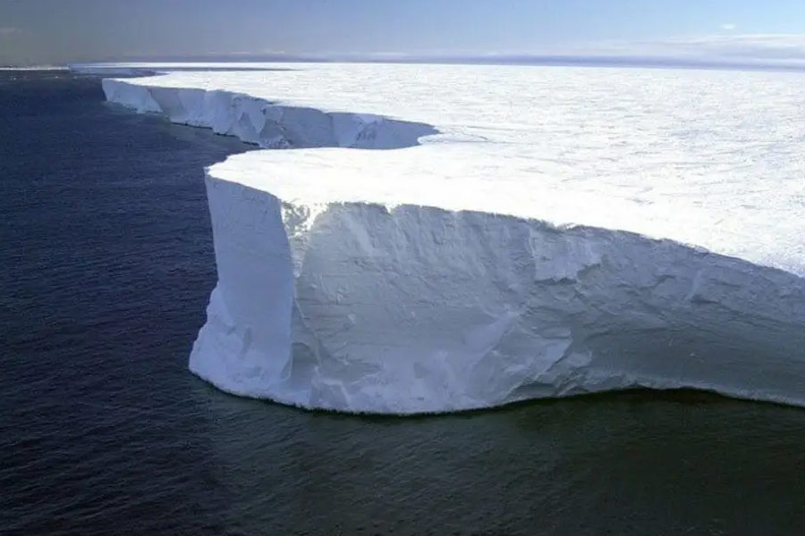 Plants are flowering in Antarctica, a warning sign 