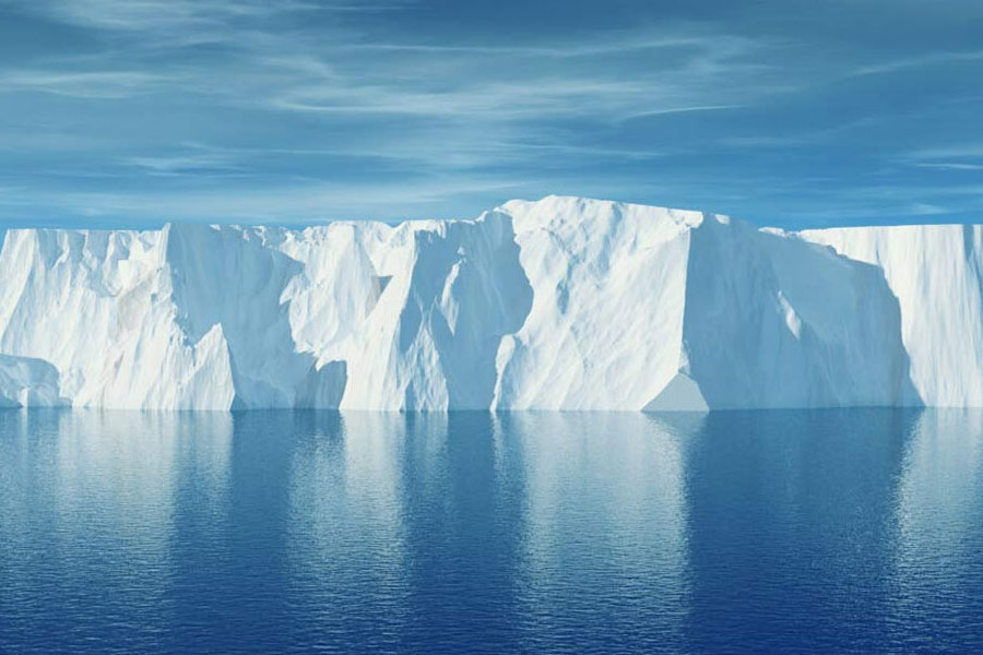 Plants are flowering in Antarctica, a warning sign 