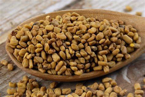 মেথি - শরীর ঠাণ্ডা রাখতে মেথির জলের গুরুত্ব অপরিহার্য। এ ছাড়াও শরীরের ক্ষতিকর কোলেস্টেরল কমাতে, রক্তে সুগারের মাত্রা নিয়ন্ত্রণে রাখতে, হজম শক্তি বৃদ্ধিতে, ত্বক উজ্জ্বল রাখতে রাখতে মেথিকে নানাভাবে ব্যবহার করে থাকি। 