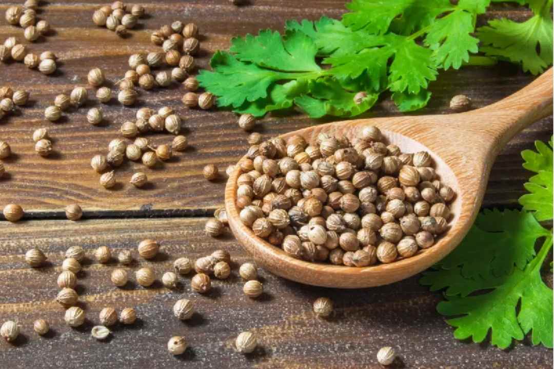 ধনে গুঁড়ো - শুধু রান্নার কাজেই নয়, নানাবিধ স্বাস্থ্য সমস্যাতেও ধনে খুব কার্যকরী ভূমিকা পালন করে। ধনে গুঁড়ো গ্যাস অম্বলের দূরীকরণ থেকে ওজন কম করতেও সাহায্য করে। পাশাপাশি রক্ত সঞ্চালনকে সচল রাখে। 