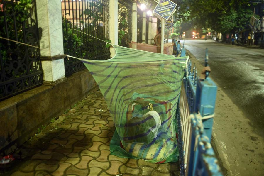 An image of Mosquito Net