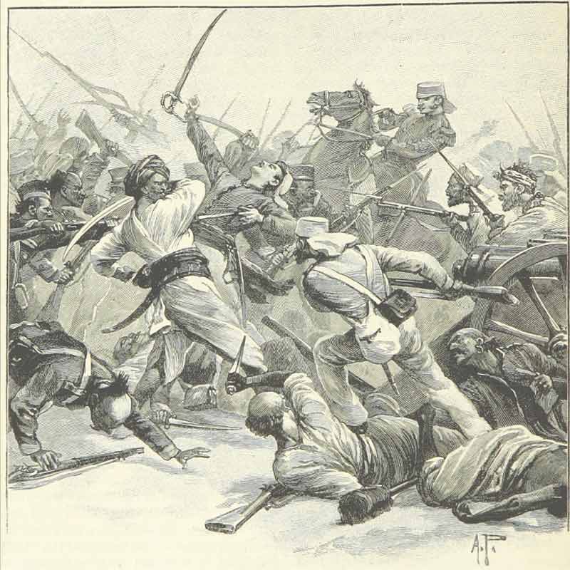 মহাবিদ্রোহে দিল্লি বিদ্রোহী সেনাদের দখলে এলে শহরকে দখলমুক্ত করার জন্য নজফগড়ের যুদ্ধে নিকোলসন তাঁর ২০০০ সৈন্যের বাহিনী নিয়ে বিপুল পরাক্রম দেখান। এই যুদ্ধে তাঁর সাফল্য তাঁকে কোম্পানির সেনাবাহিনীর অন্যতম গুরুত্বপূর্ণ সেনানায়ক হিসাবে প্রতিষ্ঠা দেয়। কিন্তু এই যুদ্ধে তিনি এক বিদ্রোহী সিপাহির ছোড়া গুলিতে মারাত্মক ভাবে আহত হন।