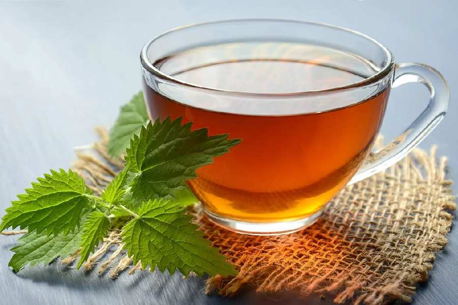 Image of Herbal Tea