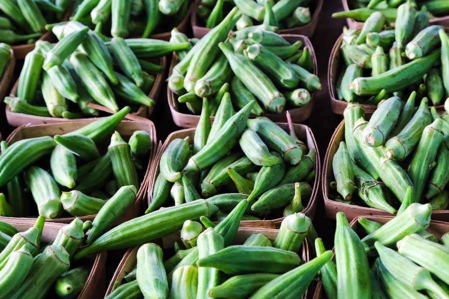 Benefits of Bhindi water for hair growth.