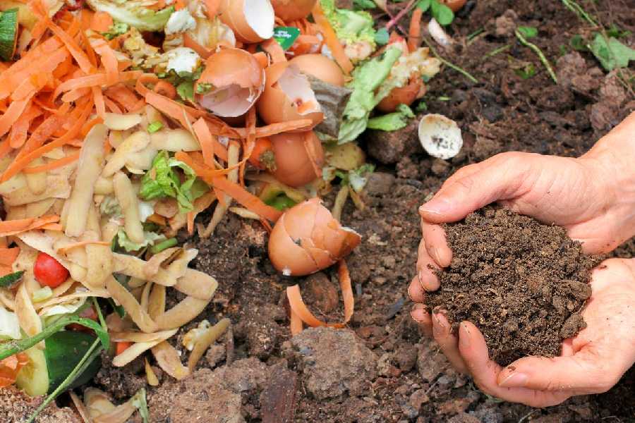 How to make compost to nourish your garden.