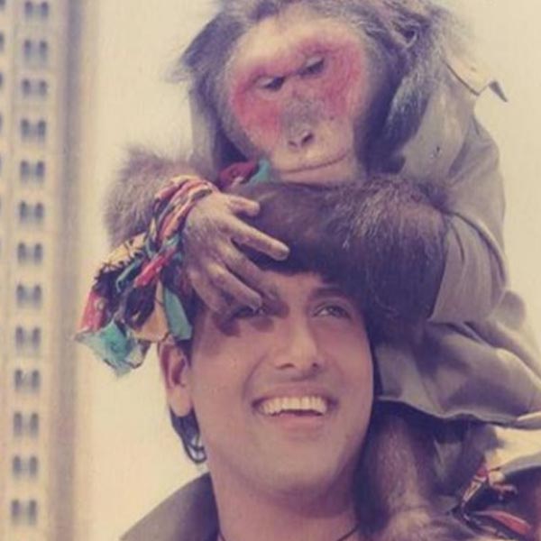 গোবিন্দ এবং চাঙ্কি পান্ডে ছাড়াও ‘আঁখে’ ছবিতে অভিনয় করেছিলেন শিল্পা শিরোদকর, রীতু শিবপুরি। রাজ বব্বর এবং শক্তি কপূরের মতো অভিনেতারাও ছিলেন এই ছবিতে। তবে ছবির অন্যতম গুরুত্বপূর্ণ চরিত্রে ছিল একটি বাঁদর।