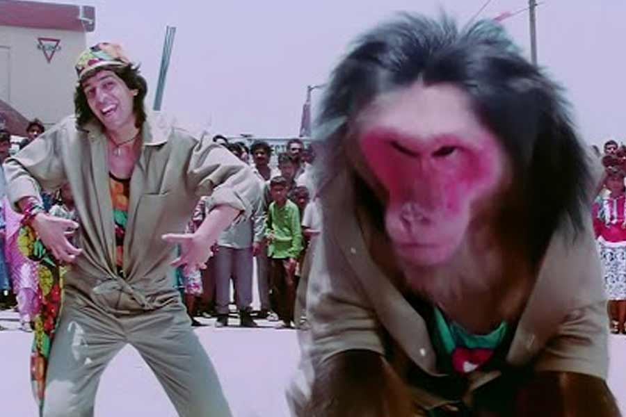 পুরনো এক সাক্ষাৎকারে চাঙ্কি জানিয়েছিলেন, ‘আঁখে’ ছবিতে মুখ্যচরিত্রে অভিনয় করে গোবিন্দ বা তিনি যা আয় করেছিলেন, তার থেকে অনেক বেশি উপার্জন করেছিল বাঁদরটি।