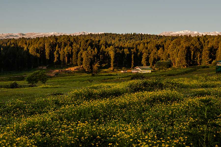 শ্রীনগর থেকে মাত্র ৫০ কিলোমিটার দূরের এই হিল স্টেশনের ইউসমার্গ নামের পিছনেও একটা কৌতূহলোদ্দীপক কাহিনি আছে। কাশ্মীরি ভাষায় ‘ইউসমার্গ’  মানে যিশু। 