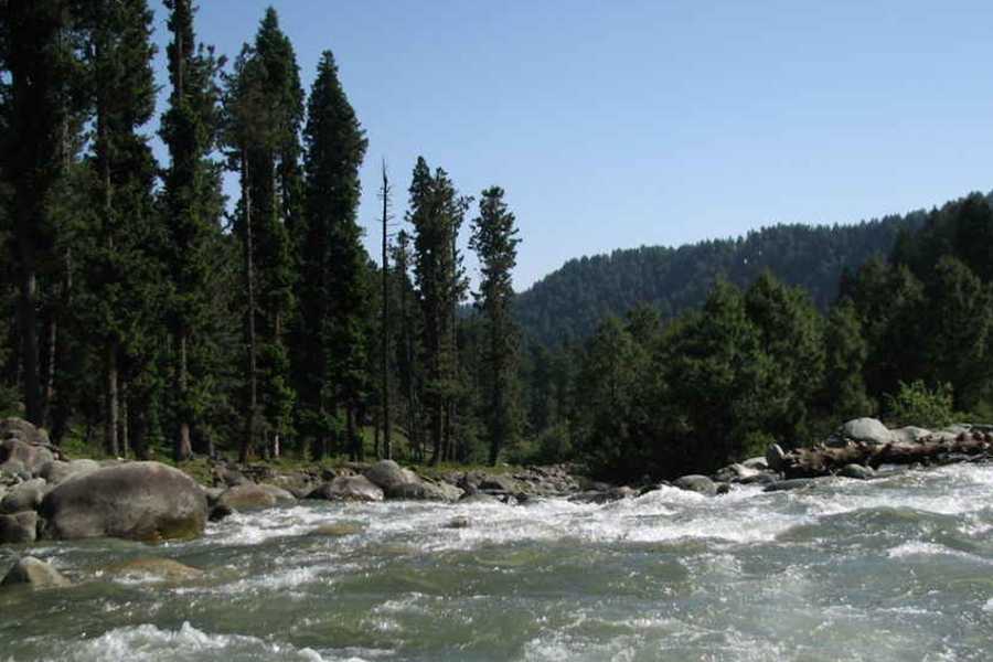 দুধের মতো সাদা ফেনা তৈরি করে চলেছে সব সময়। সে কারণে এই ঝর্ণার নাম দুধগঙ্গা। 