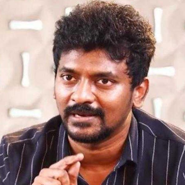 ২০১৮ সালে ‘কোলামাভু কোকিলা’ নামের তামিল ছবির মাধ্যমে পরিচালক হিসাবে কেরিয়ার শুরু করেন নেলসন। এই ছবিতে অভিনয় করেন দক্ষিণী অভিনেত্রী নয়নতারা।