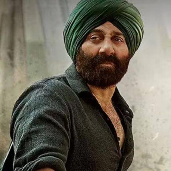 অন্য দিকে চলতি বছরের অগস্ট মাসে প্রেক্ষাগৃহে মুক্তি পায় সানি দেওল অভিনীত ‘গদর ২’। ২২ বছর পর ‘গদর’ ছবির সিকুয়েল নিয়ে বড় পর্দায় হাজির হন সানি। তার পর অভিনেতার ‘ঢাই কিলো কা হাত’ বক্স অফিসে দুর্দান্ত ব্যবসা করে।