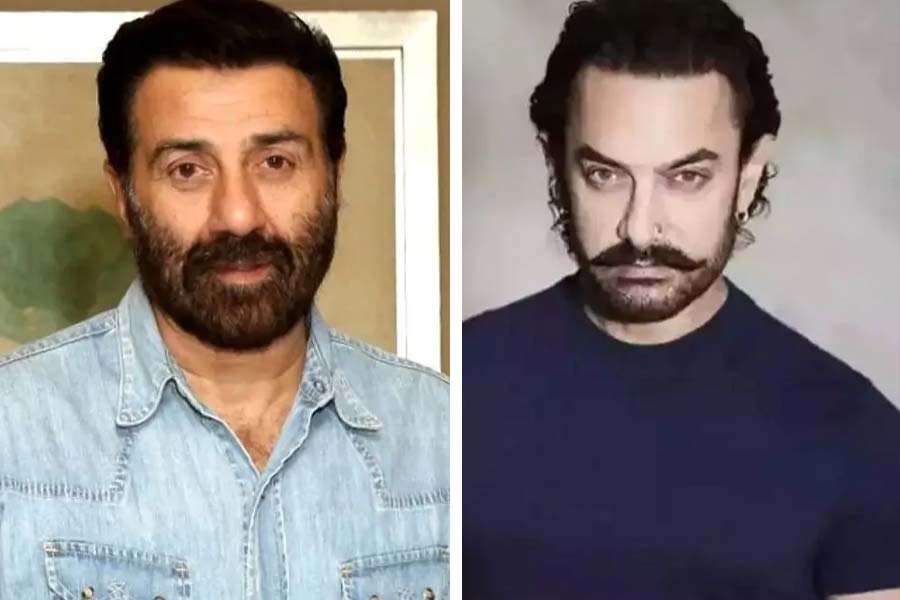 বলিপাড়া সূত্রে খবর, বলি পরিচালক রাজকুমার সন্তোষীর সঙ্গে একটি হিন্দি ছবিতে কাজ করতে চলেছেন আমির। সেই ছবিতে নাকি সানিকেও অভিনয় করতে দেখা যাবে।