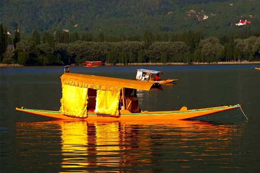 পরিষেবা দিচ্ছে মহিলাদের স্বনির্ভর একটি গোষ্ঠী। বিশাল তিন একর জায়গা এবং ১০ কোটি টাকা খরচ করে মেদিনীপুরে শিকারার স্বাদ দিতে হাজির হয়েছেন একদল উদ্যোগী মানুষ। 