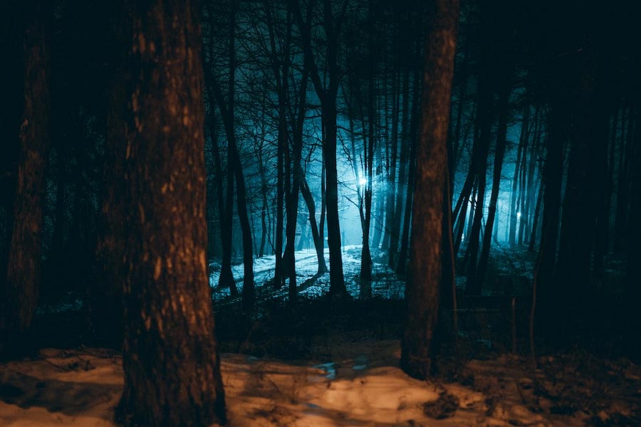 গ্রামবাসীদের সন্দেহকে একেবারে হেলাফেলা করলেন না তদন্তকারীরা। শুরু হল সেই মানুষখেকো নেকড়ের খোঁজ। কিন্তু তার টিকিটিও পাওয়া গেল না।