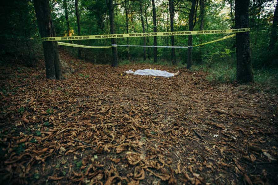 আবার নতুন করে শিশুমৃত্যুর ঘটনায় নতুন করে উদ্বেগ তৈরি হল গ্রামে। তা হলে আবার সেই হিংস্র জন্তু এই কাজ করছে? তদন্তকারীরা দেখলেন, থাবার চিহ্ন পাওয়া গেলেও শিকারকে যে ভাবে টেনে নিয়ে যায় জন্তুরা, তার কোনও প্রমাণ মেলেনি। অর্থাৎ, শিশুর দেহ টেনে নিয়ে যাওয়ার কোনও চিহ্ন নেই।