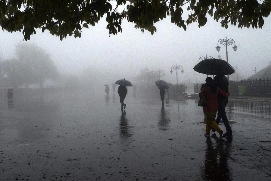 পরবর্তী ২৪ ঘণ্টায় বৃষ্টিপাত যদি ৬৪.৫ মিলিমিটার থেকে ১১৫.৫ মিলিমিটার হয়, তা হলে হলুদ সতর্কতা জারি করা হয়।