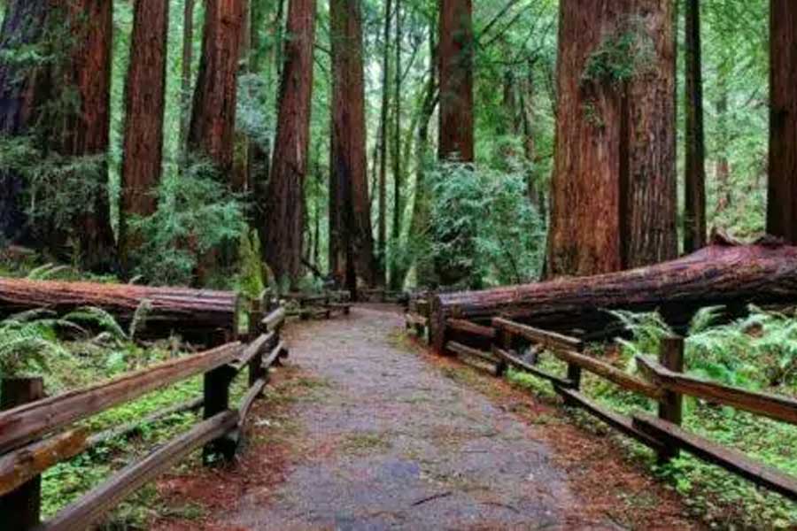 Which is the Scariest place on google map