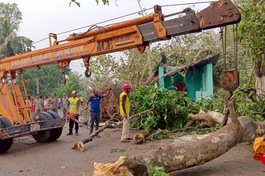Massive storm hits three districts of North Bengal on Sunday afternoon 