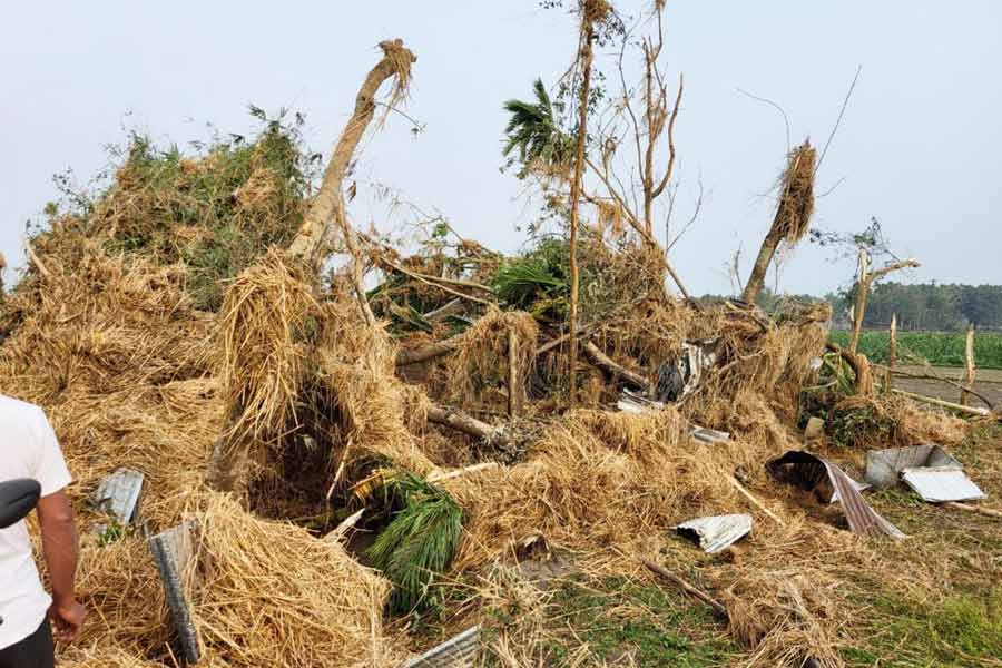 Massive storm hits three districts of North Bengal on Sunday afternoon 
