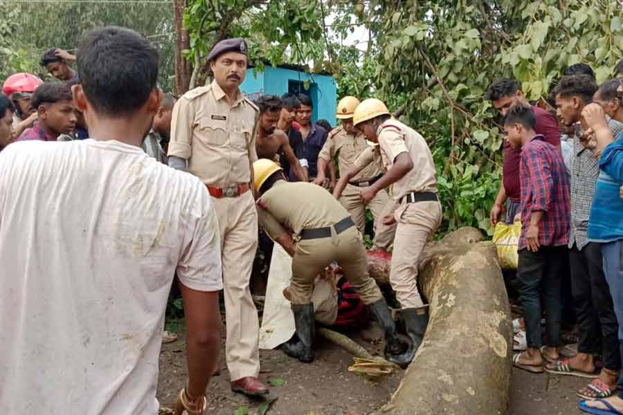 Massive storm hits three districts of North Bengal on Sunday afternoon 