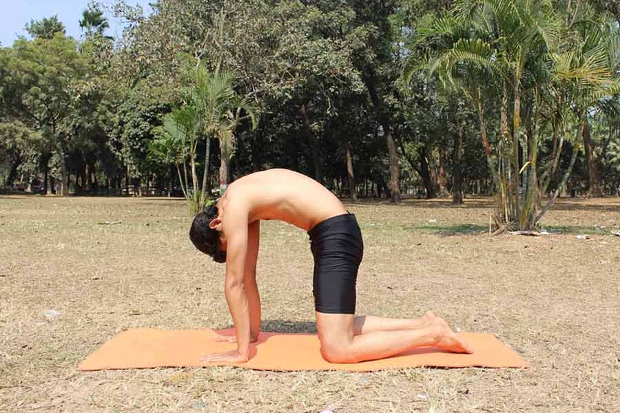 Five fertility yoga asanas that can help you conceive