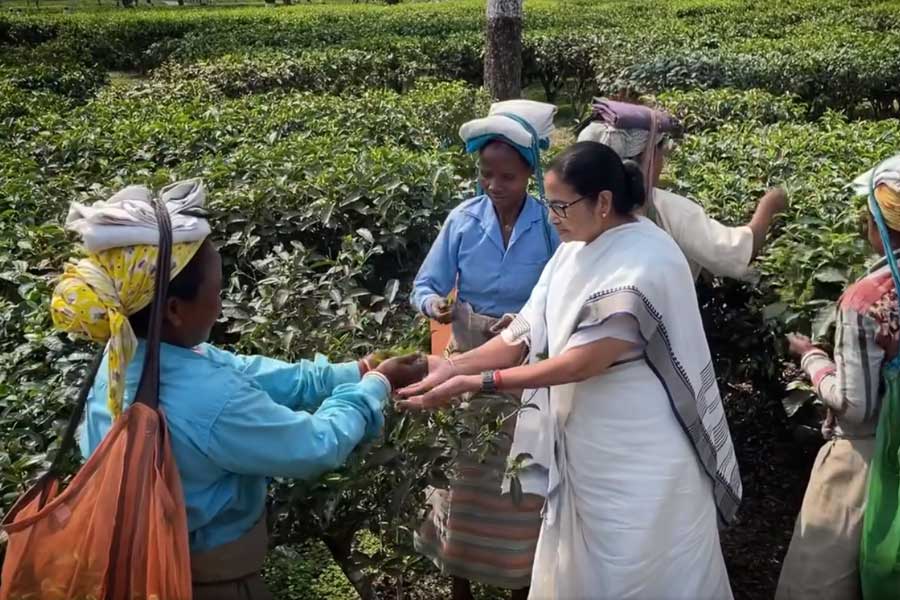 Mamata Banerjee assures that no tea worker will have to face unemployment issue