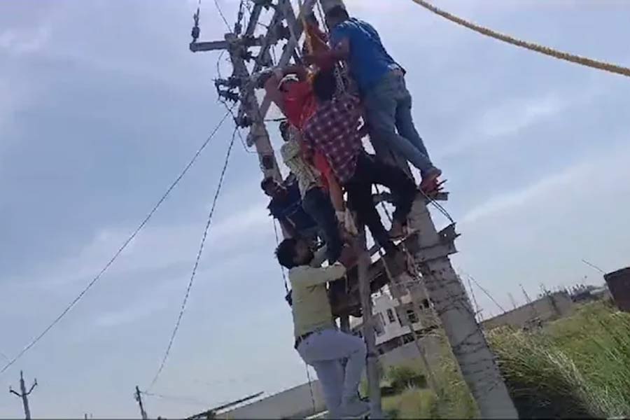 Woman climbs electric pole after husband found out about extramarital affair
