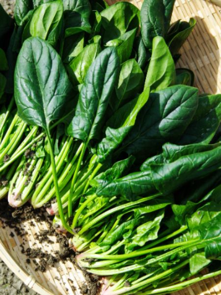 include these 7 food items in your diet to increase hemoglobin dgtl