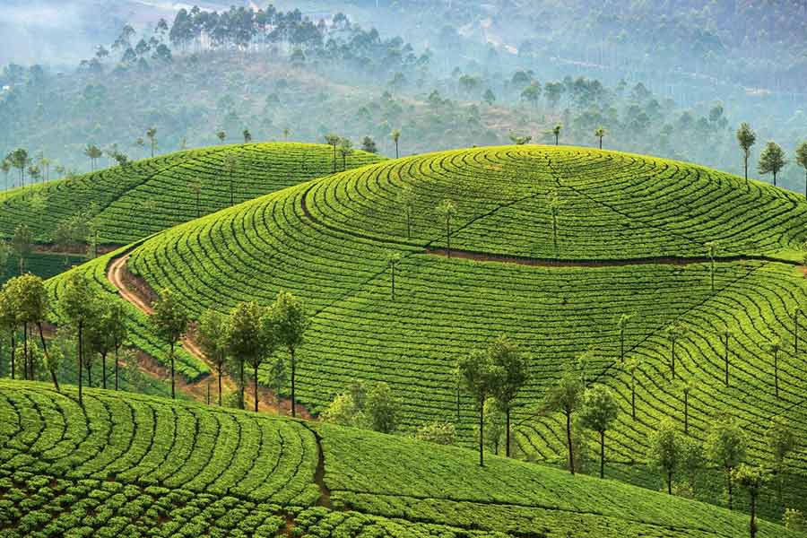 The best time to visit Kerala 