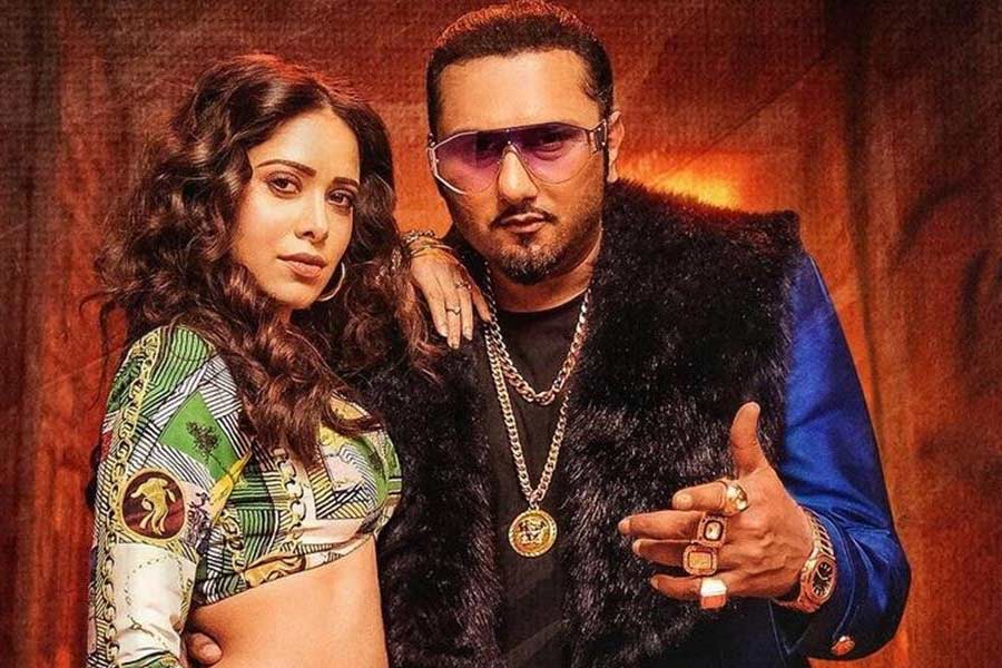 ২০১৪ সালে মুক্তি পাওয়া ‘দ্য এক্সপোস’ নামের একটি হিন্দি ছবির মাধ্যমে বলিপাড়ায় আত্মপ্রকাশ করেন হানি। এই ছবিতে খলনায়কের চরিত্রে অভিনয় করেন তিনি। কিন্তু অভিনয়দক্ষতা নিয়ে কটাক্ষের শিকার হন গায়ক। তার পর আর হিন্দি ছবিতে অভিনয় দেখা যায়নি হানিকে।