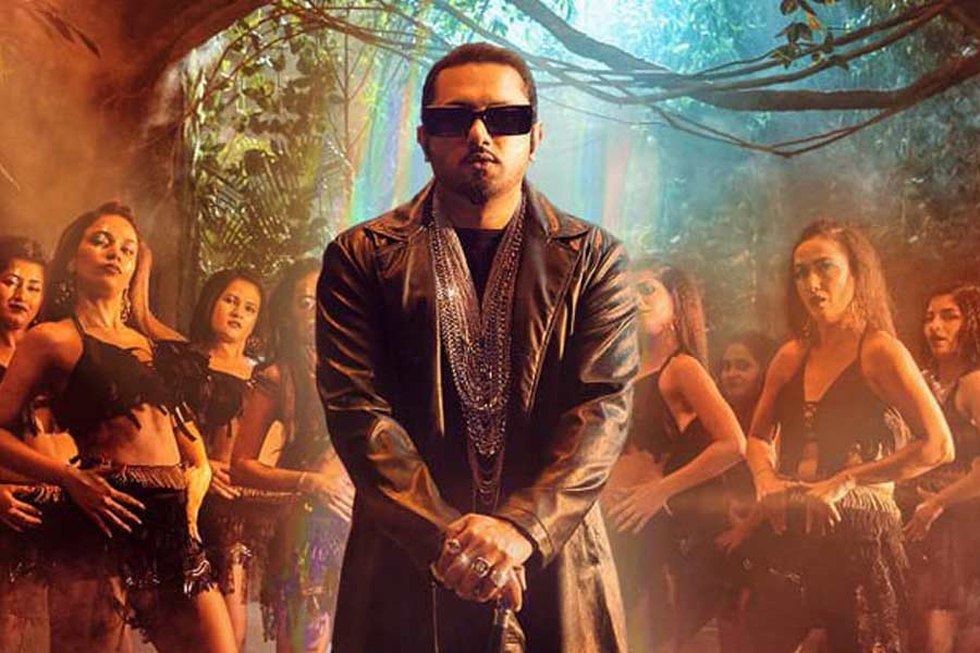 ২০১৬ সালে মুক্তিপ্রাপ্ত ‘জোরাওয়ার’ নামের একটি পঞ্জাবি ছবিতে অভিনয় করেন হানি। এর পর আর বড় পর্দায় অভিনয় করতে দেখা যায়নি তাঁকে।